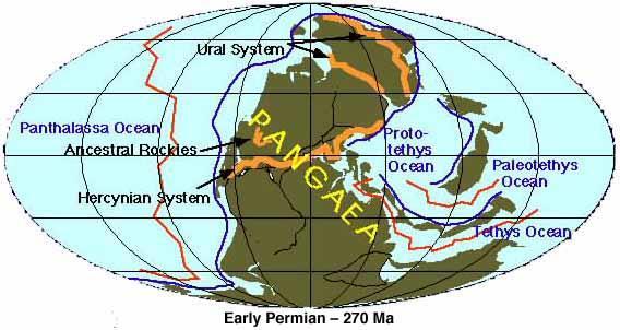 PERMİYEN http://www.humboldt.