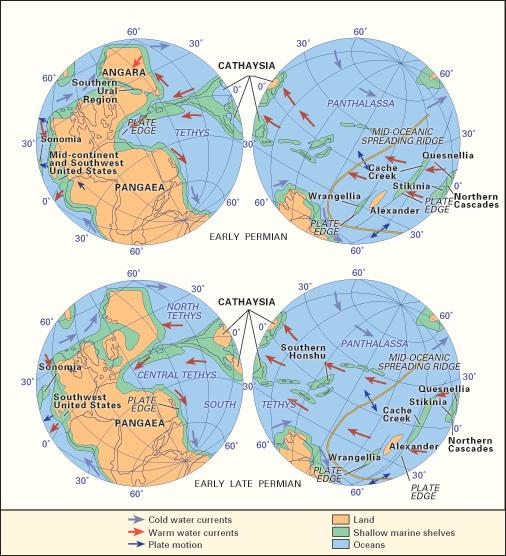 PALEOCOĞRAFYA Erken Permiyen (Sisuraliyen) de Gondwana nın kuzeybatısı, Lavrusya nın güneyi (Öramerika) ile çarpışmış, Algeniyen orojenezi gelişmiş ve bölgede Kuzey Amerika oluşmuştur,