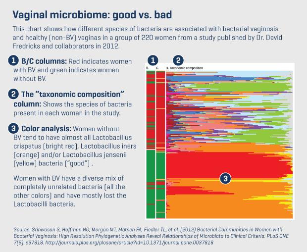 Bakteriyel Vaginosis (BV) Tiplemesindeki Karmaşıklık Mikrobiyom içindeki laktobasillus gardenalla gibi baskın mikroorganizmaların BV ile yer değiştirmesi.