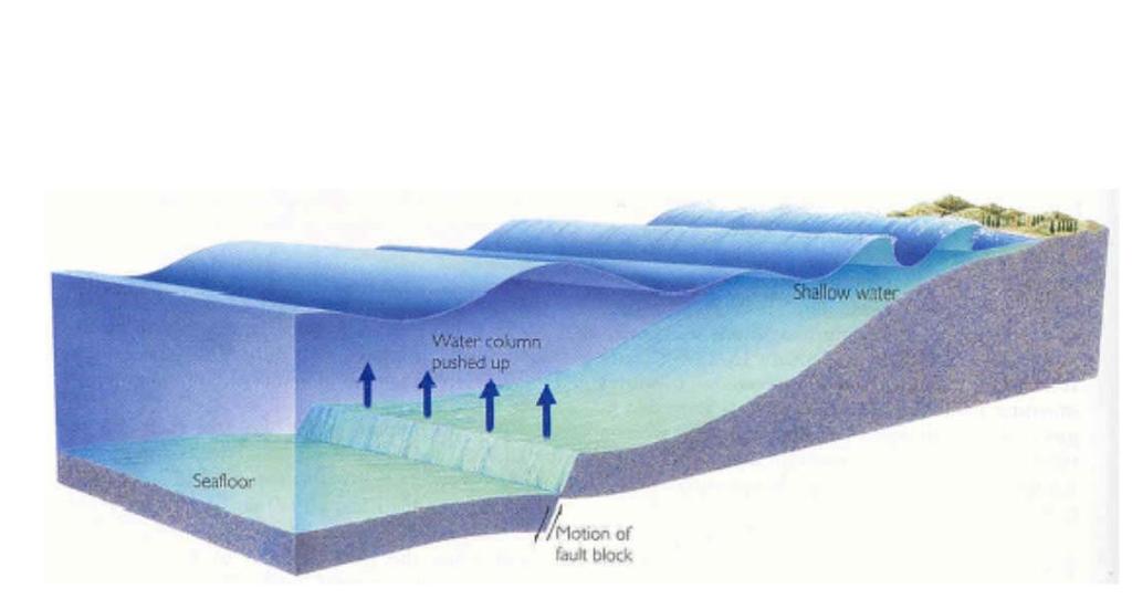 TSUNAMİ