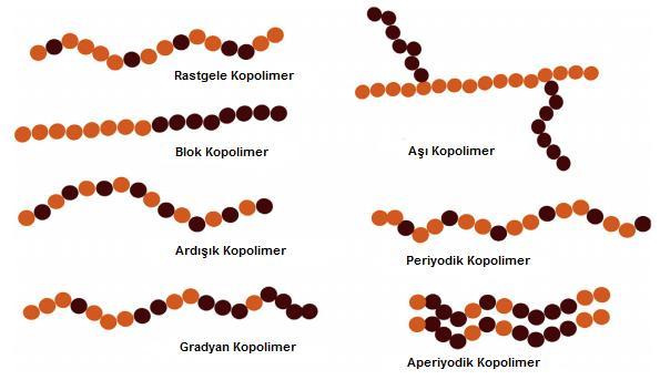 2.3. Zincir Yapılarına Göre Polimerlerin İncelenmesi Polimer zincirindeki tek cins monomerlerden oluşan polimerlere homopolimer, iki veya daha fazla tür monomerden sentezlenen polimerlere kopolimer