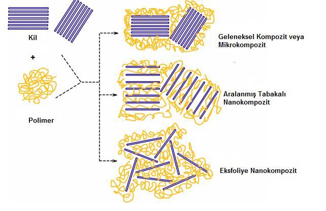 vaziyettedir. Eksfoliye yapıdaki polimer-kil nanokompozitinde ise nanometre kalınlıktaki silikat tabakaları polimer matrisi içerisinde az ya da çok dağılmış şekildedir.