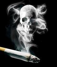 Tütün Endüstrisi Başka hiçbir şeye benzemez.