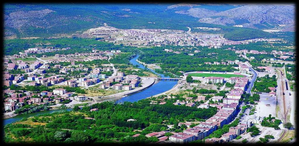 Doğal şartların zorunluluğundan oluşmuş biçimsel kentler;genelde su kenarında yerleşen yada bir tepede yerleşip yayılan kentleri örnek verebiliriz.