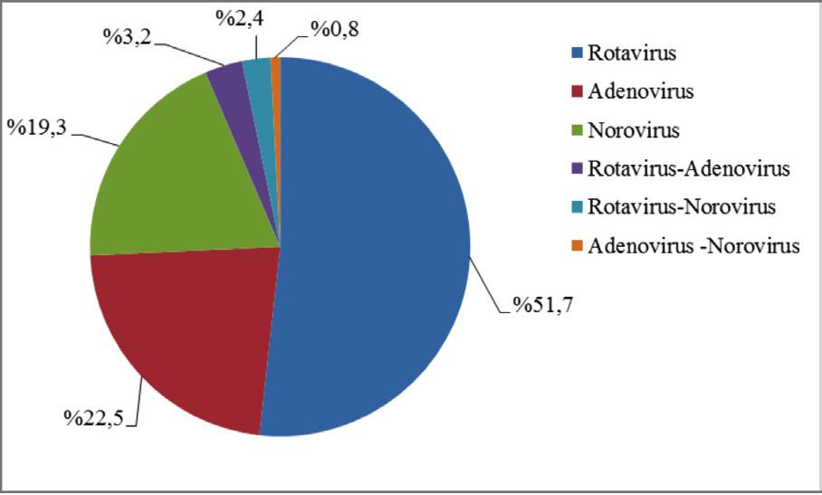 G. Alp Avcı ve M. Akbaba, Rotavirüs, Enterik Adenovirüs ve Norovirüs İnsidansı MannWhitney U testi kullanıldı. %3.2 %2.4 %0.