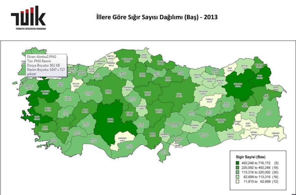 TRB2 BÖLGESİ HAYVANCILIK GÖSTERGELERİ BÜYÜKBAŞ HAYVAN 2013 HAYVAN CİNSİ TÜRKİYE TRB2 BÖLGESİ ORAN (%) SIĞIR (KÜLTÜR) 5.954.333 87.555 1,47 SIĞIR (KÜLTÜR MELEZİ) 6.112.437 190.070 3,10 SIĞIR (YERLİ) 2.