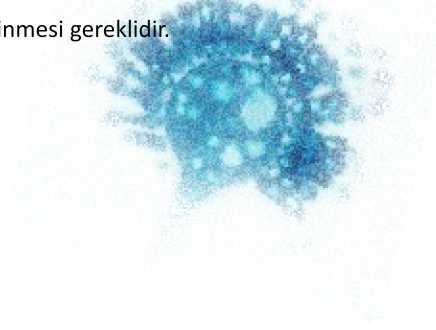 epidemiyolojik çalışmalara başlamadan önce incelenecek