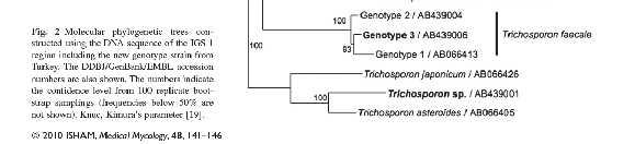 Ribosomal DNA ITS ve IGS