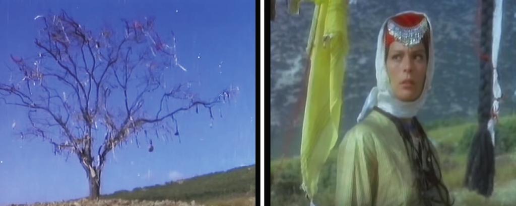 Türk Kültüründe Ağaç Sembolizmi ve Filmlere Yansıması Görsel 1. Gökçe Çiçek filminden görüntüler Dilek ağacına mendil bağlama ilgi çekmektedir.