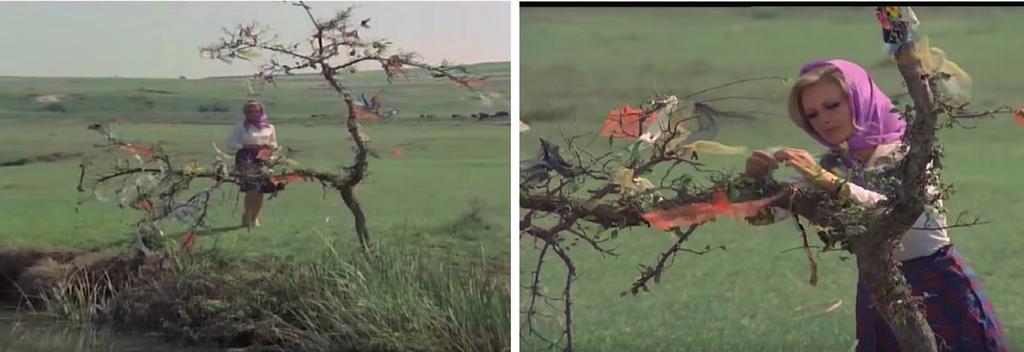 Tatlı Dillim filminden görüntüler- Ağaca çaput bağlama Filmde dilek ağacı görseli izleyiciye birkaç kez sunulmaktadır.