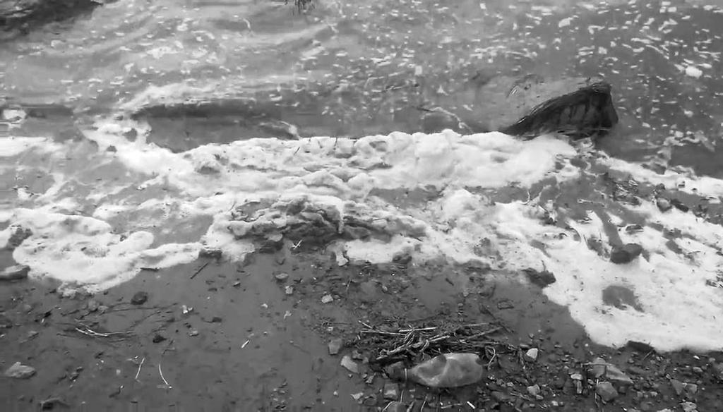 «Қазгидромет» РМК экологтары араға 4 жыл салып, 2016 жылы 48 зеннің суына сараптама жасап, оның екеуі ғана талапқа сай таза екенін анықтапты. Екі зен де оңтүстік ңірде орналасқан.