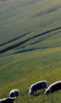 Пықыптың тойындағы кідіріс-мүдірісі жоқ, кілең даналық с здерден құралған тілектерге Ақалақ аузын
