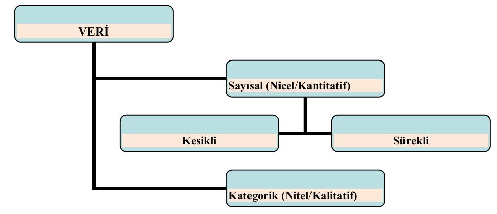 Veri çeşitleri Toplanan bilginin veri sayılabilmesi için o bilgi