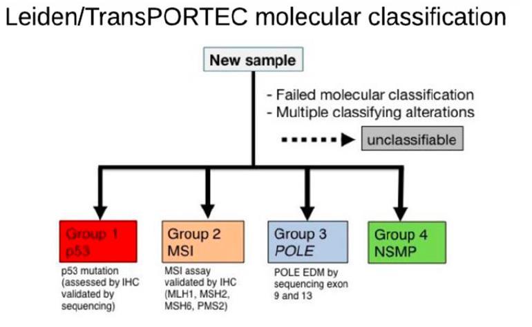 Leiden/ TransPORTEC Moleküler 116 olgu TP53 mutasyon testi, p53 IHC Promega MSI analiz sistem MSI DNA kalitesi düşük IHC mismatch