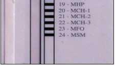 16S rdna Duyarlılık testi 7H10 agar proporsiyon yöntemiyle