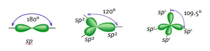 adlandırılır. Karbon bu şekilde sp, sp 2, sp 3 olmak üzere üç hibritleşme çeşidi gösterebilmektedir. Şekil 2.3: Karbon atomunun orbital diyagramı.
