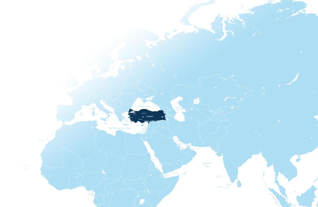 Bilgi Toplumu Stratejisinin Yenilenmesine