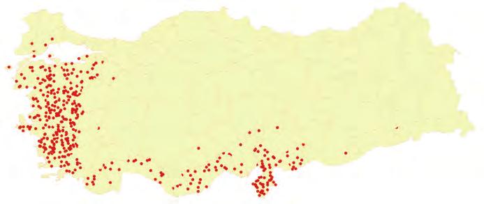 Aşağıdaki haritada, Türkiye de zeytin üretiminin yapıldığı alanlar gösterilmiştir.