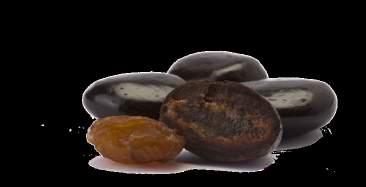 beslernuts
