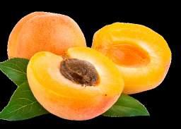 Coated Apricot 