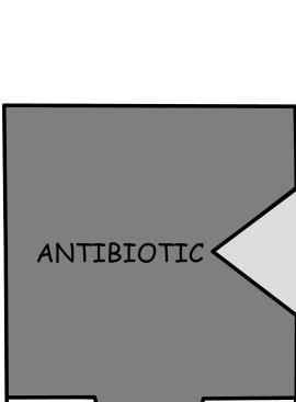 Antibiyotik Seçimi ANTİBİYOTİK Güvenlik