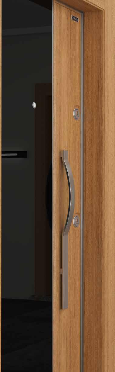 Perfect Design Carven presents modern and high quality designs which provide confidence for years with most advanced door