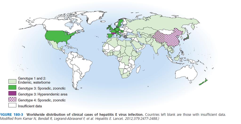 12 Hepatit E Virüsü