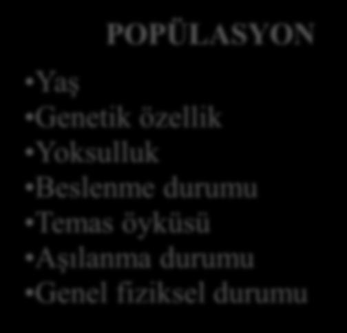 POPÜLASYON Yaş