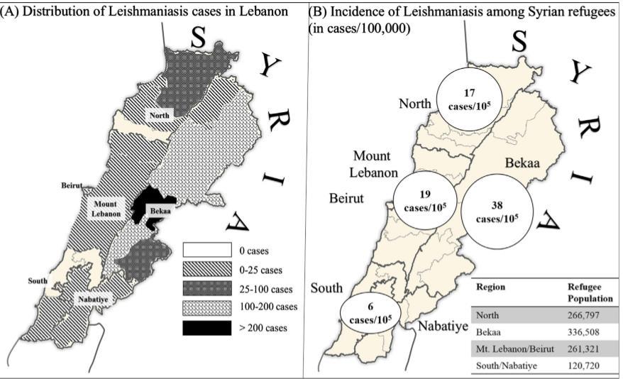 LAYŞMANYAZ Lübnan salgını 0-6 vaka/yıl 2013 1033 vaka %96.6 Suriyeli Revisiting leishmaniasis in the time of war: the Syrian conflict and the Lebanese outbreak.