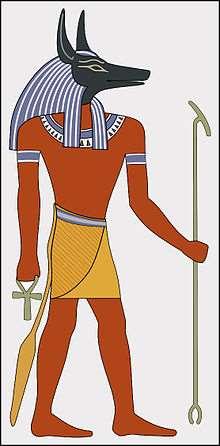 Daha sonra Set tarafından öldürülen ana tanrı Osiris i mumyaladığı için mumyalama tanrısı olmuştur.