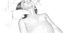 yenilendi Çocukta karotid nabzın (şah damarı) kontrolü Temelde göğüs basısının etkin olması