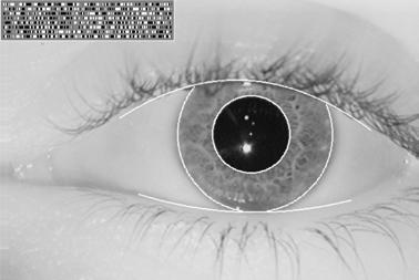 Göz ve Avuç İçi Tarama Iris Okuyucu Kamera gözün ön kısmının fotoğrafını alır ve eşleşme algoritmalarından geçirerek işleme alır.