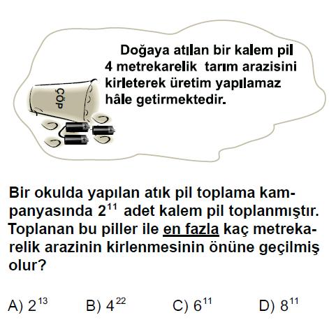 SBS 2011 Başarı