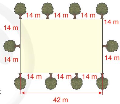 ÖRNEK 2 Boyutları 28 m ve 42 m olan dikdörtgensel bölgeşeklindeki bir bahçenin etrafına eşit aralıklarla ağaç dikilmek isteniyor. Bu iş için en az kaç ağaç kullanılır.