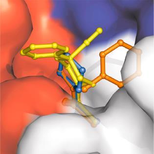 2012) Karbonik anhidraz inhibitörleri arasında enzim aktif alanında Zn 2+ iyonuna bağlanan inorganik anyonlar da araģtırılmıģtır.