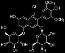 Trihidroksibezaldehit, 3,4-Dihidroksi-5-metoksibenzoik asit ve AraĢidonoil
