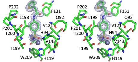 70 Dututiene et al. (2013) bir dizi 2,3,5,6,-tetraflorobenzen sülfonamidler ile ilgili insan CA I, II, VII, XII ve XIII izoenzimleri üzerine inhibisyon etkilerini incelemiģlerdir.