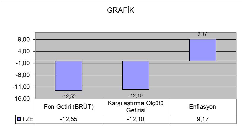 B. PERFORMANS BİLGİSİ Karşılaştırma Ölçütünün Getirisi /Eşik Değer (%) Enflasyon Oranı (%) Portföyün Zaman İçinde Standart Sapması % Karşılaştırma Ölçütünün Standart Sapması Sunuma Dahil Dönem Sonu