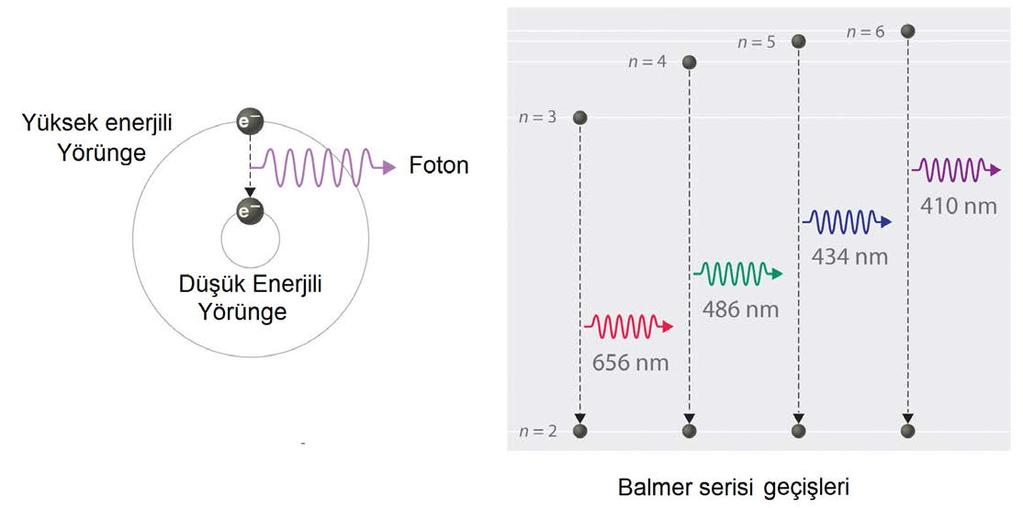 Bohr un Postülaları 4) Elektronun yörüngesinin izin verilen büyüklüğü, elektronun yörüngesel açısal momentumuna