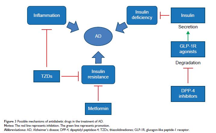 Alzheimer hastalığında insülin direnci ve