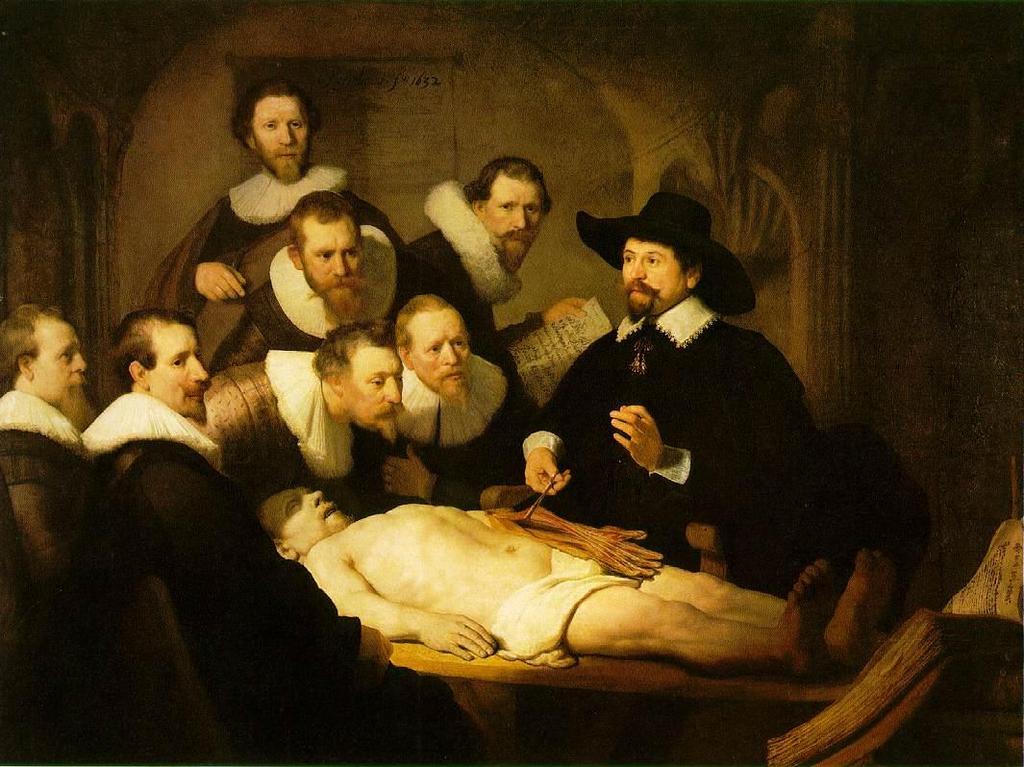Rembrandt van Rijn The Anatomy