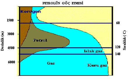 .3.3 Petrol ve Gazın Yer Altında Göç ve Birikimi Hidrokarbonların oluştuğu kaynak kayaçlar; yukarıda sözü edilen kapan yapısına sahip olmazlarsa, onların içinde oluşan HC'lar "rezervuar" olma