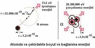 Azalma miktar n, oluflan çekirde in kütlesinden hareketle hesaplamak mümkündür. Örne in, do ada bulunan ve atom numaras Z, kütle numaras A olan bir izotopun kütlesi ZM A olarak ölçülmüfl olsun.