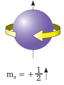 Orbitaller farklı şekillerde bulunur Manyetik alanda s orbitali hariç çeşitli yönelişlere sahiptir. Alt enerji düzeyinde kaç tane orbital olduğunu gösteren kuantum sayısıdır.