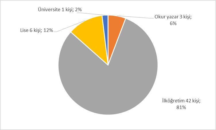 Herhangi bir eğitim almamış ancak okuryazar olanların oranı ise %6 dır.