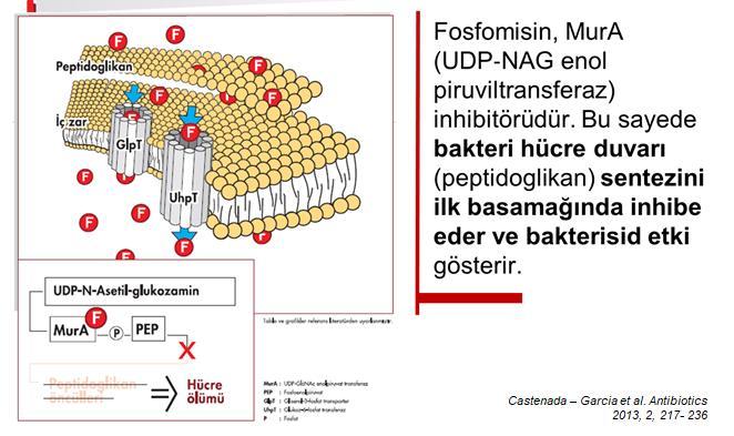 Fosfomisin Dokulara