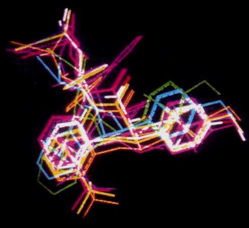 2) Değişik (diverse compounds) ya da aynı yapıya sahip bir dizi bileşik için uyum yönteminde sabit (rigid) ve aktif olan yapı seçilir.