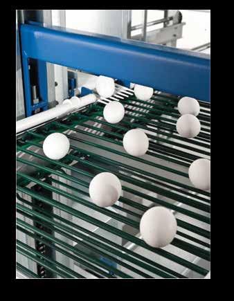 Yumurta konveyörü, alüminyum gövdeli olarak üretilmekte olup; elektrostatik plastik kaplamalı zincir ve çubuklu, redüktörlü lift tertibatlıdır. Konveyör motoru 0,75 HP gücündedir.