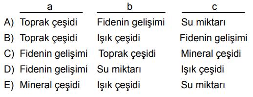 değişkeni.