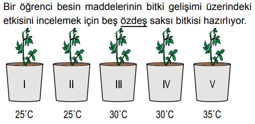 Örnek 6 Deney grubu ile